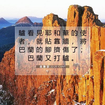 Picture 07 - 民 數 記 22:25 CUVT - 驢 看 見 耶 和 華 的 使 者 ， 就 貼 - Bible Verse Picture