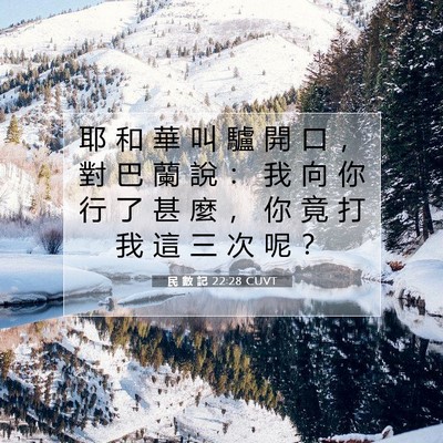 Picture 07 - 民 數 記 22:28 CUVT - 耶 和 華 叫 驢 開 口 ， 對 巴 蘭 說 - Bible Verse Picture