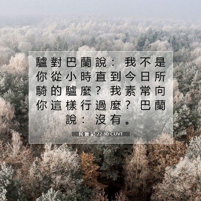 Picture 07 - 民 數 記 22:30 CUVT - 驢 對 巴 蘭 說 ： 我 不 是 你 從 小 - Bible Verse Picture