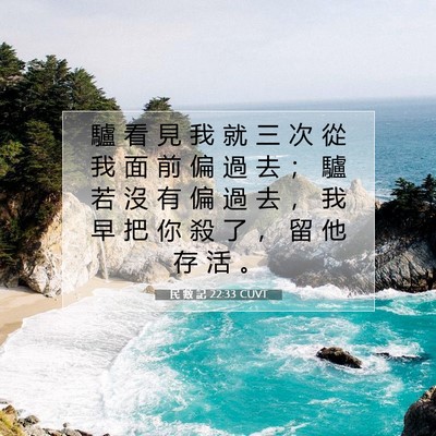 Picture 07 - 民 數 記 22:33 CUVT - 驢 看 見 我 就 三 次 從 我 面 前 偏 - Bible Verse Picture