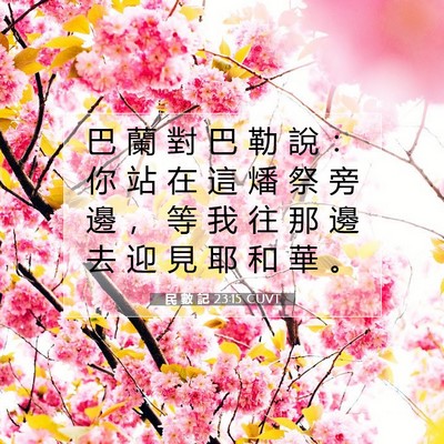 Picture 07 - 民 數 記 23:15 CUVT - 巴 蘭 對 巴 勒 說 ： 你 站 在 這 燔 - Bible Verse Picture