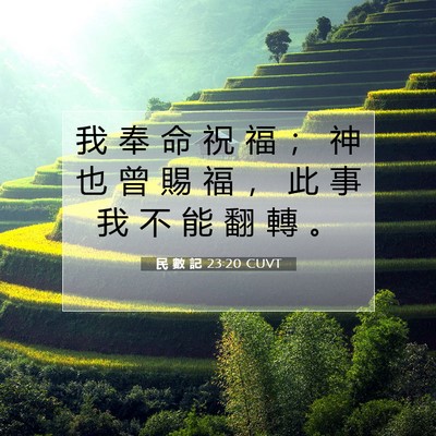 Picture 07 - 民 數 記 23:20 CUVT - 我 奉 命 祝 福 ； 神 也 曾 賜 福 ， - Bible Verse Picture