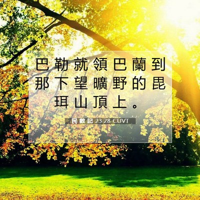 Picture 07 - 民 數 記 23:28 CUVT - 巴 勒 就 領 巴 蘭 到 那 下 望 曠 野 - Bible Verse Picture