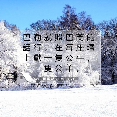Picture 07 - 民 數 記 23:30 CUVT - 巴 勒 就 照 巴 蘭 的 話 行 ， 在 每 - Bible Verse Picture