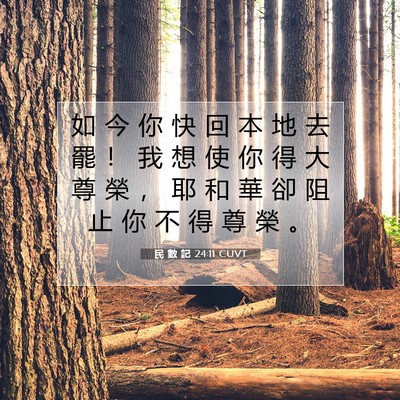 Picture 07 - 民 數 記 24:11 CUVT - 如 今 你 快 回 本 地 去 罷 ！ 我 想 - Bible Verse Picture