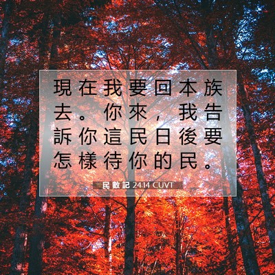 Picture 07 - 民 數 記 24:14 CUVT - 現 在 我 要 回 本 族 去 。 你 來 ， - Bible Verse Picture