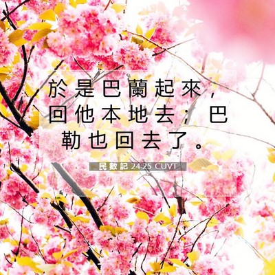 Picture 07 - 民 數 記 24:25 CUVT - 於 是 巴 蘭 起 來 ， 回 他 本 地 去 - Bible Verse Picture
