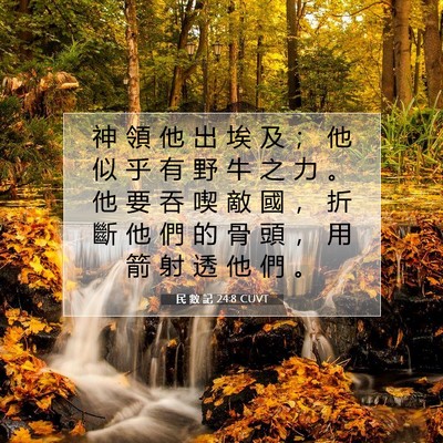 Picture 07 - 民 數 記 24:8 CUVT - 神 領 他 出 埃 及 ； 他 似 乎 有 野 - Bible Verse Picture