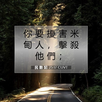 Picture 07 - 民 數 記 25:17 CUVT - 你 要 擾 害 米 甸 人 ， 擊 殺 他 們 - Bible Verse Picture
