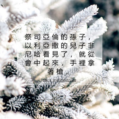 Picture 07 - 民 數 記 25:7 CUVT - 祭 司 亞 倫 的 孫 子 ， 以 利 亞 撒 - Bible Verse Picture
