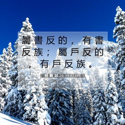 Picture 07 - 民 數 記 26:39 CUVT - 屬 書 反 的 ， 有 書 反 族 ； 屬 戶 - Bible Verse Picture