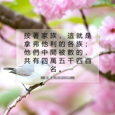 Picture 07 - 民 數 記 26:50 CUVT - 按 著 家 族 ， 這 就 是 拿 弗 他 利 - Bible Verse Picture