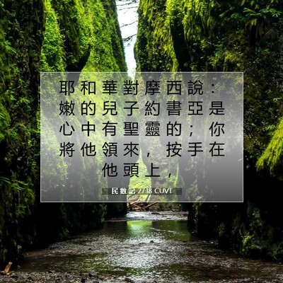 Picture 07 - 民 數 記 27:18 CUVT - 耶 和 華 對 摩 西 說 ： 嫩 的 兒 子 - Bible Verse Picture