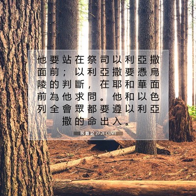 Picture 07 - 民 數 記 27:21 CUVT - 他 要 站 在 祭 司 以 利 亞 撒 面 前 - Bible Verse Picture