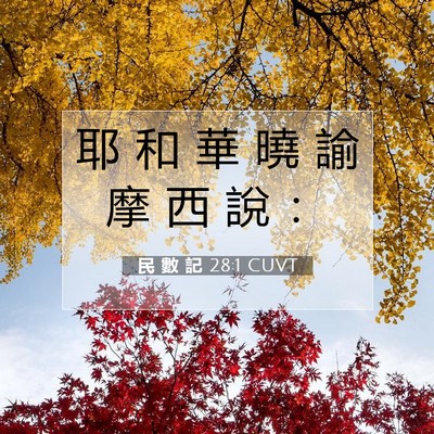 Picture 07 - 民 數 記 28:1 CUVT - 耶 和 華 曉 諭 摩 西 說 - Bible Verse Picture