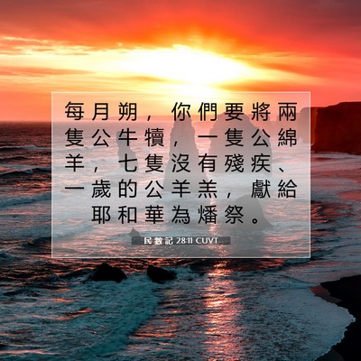 Picture 07 - 民 數 記 28:11 CUVT - 每 月 朔 ， 你 們 要 將 兩 隻 公 牛 - Bible Verse Picture