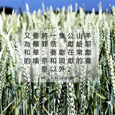 Picture 07 - 民 數 記 28:15 CUVT - 又 要 將 一 隻 公 山 羊 為 贖 罪 祭 - Bible Verse Picture