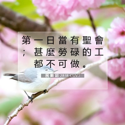 Picture 07 - 民 數 記 28:18 CUVT - 第 一 日 當 有 聖 會 ； 甚 麼 勞 碌 - Bible Verse Picture