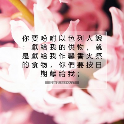 Picture 07 - 民 數 記 28:2 CUVT - 你 要 吩 咐 以 色 列 人 說 ： 獻 給 - Bible Verse Picture
