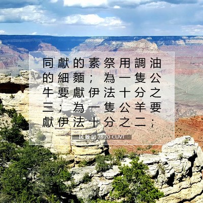 Picture 07 - 民 數 記 28:20 CUVT - 同 獻 的 素 祭 用 調 油 的 細 麵 ； - Bible Verse Picture