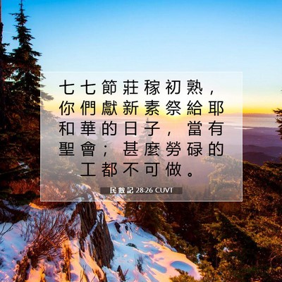 Picture 07 - 民 數 記 28:26 CUVT - 七 七 節 莊 稼 初 熟 ， 你 們 獻 新 - Bible Verse Picture