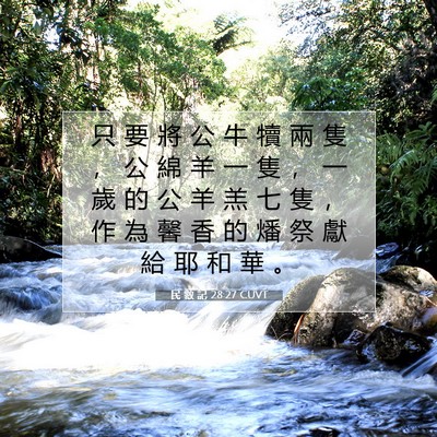 Picture 07 - 民 數 記 28:27 CUVT - 只 要 將 公 牛 犢 兩 隻 ， 公 綿 羊 - Bible Verse Picture