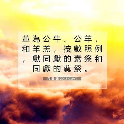 Picture 07 - 民 數 記 29:18 CUVT - 並 為 公 牛 、 公 羊 ， 和 羊 羔 ， - Bible Verse Picture