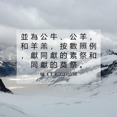 Picture 07 - 民 數 記 29:24 CUVT - 並 為 公 牛 、 公 羊 ， 和 羊 羔 ， - Bible Verse Picture