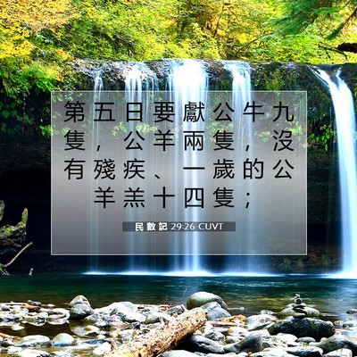 Picture 07 - 民 數 記 29:26 CUVT - 第 五 日 要 獻 公 牛 九 隻 ， 公 羊 - Bible Verse Picture