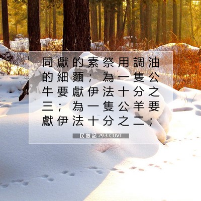 Picture 07 - 民 數 記 29:3 CUVT - 同 獻 的 素 祭 用 調 油 的 細 麵 ； - Bible Verse Picture