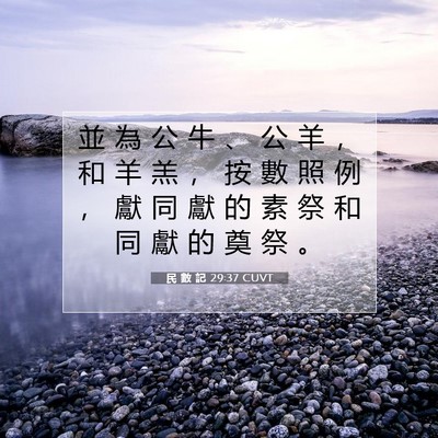 Picture 07 - 民 數 記 29:37 CUVT - 並 為 公 牛 、 公 羊 ， 和 羊 羔 ， - Bible Verse Picture