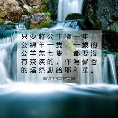 Picture 07 - 民 數 記 29:8 CUVT - 只 要 將 公 牛 犢 一 隻 ， 公 綿 羊 - Bible Verse Picture