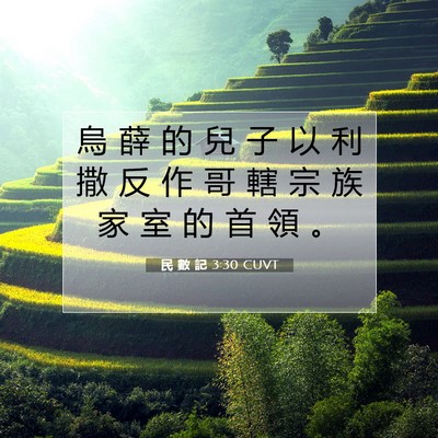 Picture 07 - 民 數 記 3:30 CUVT - 烏 薛 的 兒 子 以 利 撒 反 作 哥 轄 - Bible Verse Picture