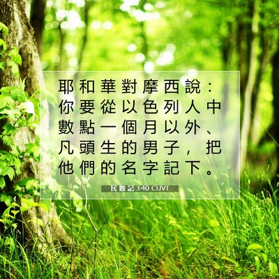 Picture 07 - 民 數 記 3:40 CUVT - 耶 和 華 對 摩 西 說 ： 你 要 從 以 - Bible Verse Picture