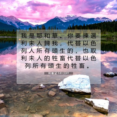 Picture 07 - 民 數 記 3:41 CUVT - 我 是 耶 和 華 。 你 要 揀 選 利 未 - Bible Verse Picture