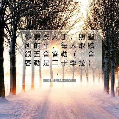 Picture 07 - 民 數 記 3:47 CUVT - 你 要 按 人 丁 ， 照 聖 所 的 平 ， - Bible Verse Picture