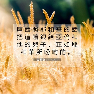 Picture 07 - 民 數 記 3:51 CUVT - 摩 西 照 耶 和 華 的 話 把 這 贖 銀 - Bible Verse Picture