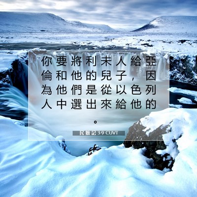 Picture 07 - 民 數 記 3:9 CUVT - 你 要 將 利 未 人 給 亞 倫 和 他 的 - Bible Verse Picture