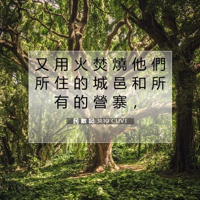 Picture 07 - 民 數 記 31:10 CUVT - 又 用 火 焚 燒 他 們 所 住 的 城 邑 - Bible Verse Picture