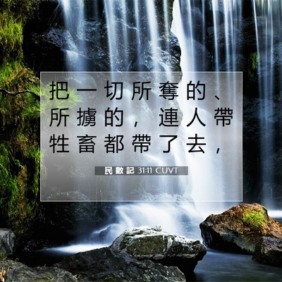 Picture 07 - 民 數 記 31:11 CUVT - 把 一 切 所 奪 的 、 所 擄 的 ， 連 - Bible Verse Picture