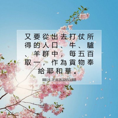 Picture 07 - 民 數 記 31:28 CUVT - 又 要 從 出 去 打 仗 所 得 的 人 口 - Bible Verse Picture