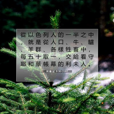 Picture 07 - 民 數 記 31:30 CUVT - 從 以 色 列 人 的 一 半 之 中 ， 就 - Bible Verse Picture