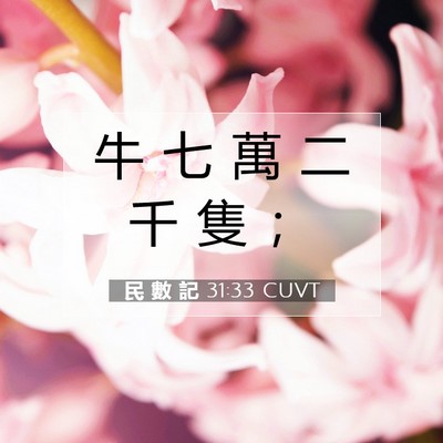 Picture 07 - 民 數 記 31:33 CUVT - 牛 七 萬 二 千 隻 - Bible Verse Picture