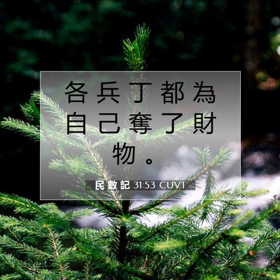 Picture 07 - 民 數 記 31:53 CUVT - 各 兵 丁 都 為 自 己 奪 了 財 物 - Bible Verse Picture