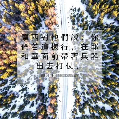 Picture 07 - 民 數 記 32:20 CUVT - 摩 西 對 他 們 說 ： 你 們 若 這 樣 - Bible Verse Picture