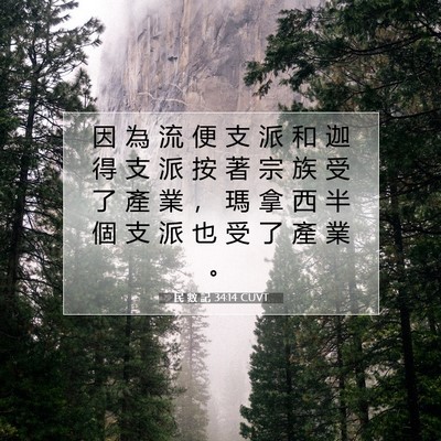 Picture 07 - 民 數 記 34:14 CUVT - 因 為 流 便 支 派 和 迦 得 支 派 按 - Bible Verse Picture