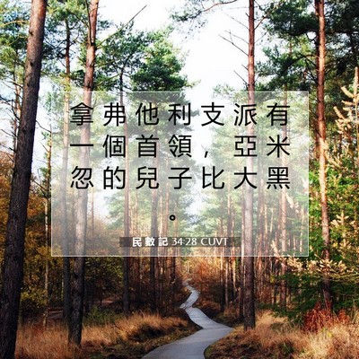 Picture 07 - 民 數 記 34:28 CUVT - 拿 弗 他 利 支 派 有 一 個 首 領 ， - Bible Verse Picture