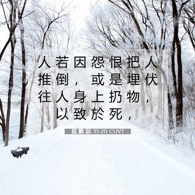 Picture 07 - 民 數 記 35:20 CUVT - 人 若 因 怨 恨 把 人 推 倒 ， 或 是 - Bible Verse Picture