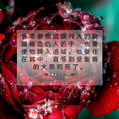 Picture 07 - 民 數 記 35:25 CUVT - 會 眾 要 救 這 誤 殺 人 的 脫 離 報 - Bible Verse Picture