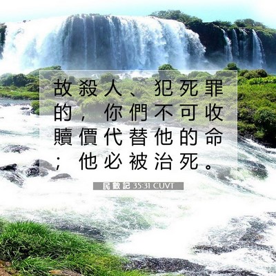Picture 07 - 民 數 記 35:31 CUVT - 故 殺 人 、 犯 死 罪 的 ， 你 們 不 - Bible Verse Picture